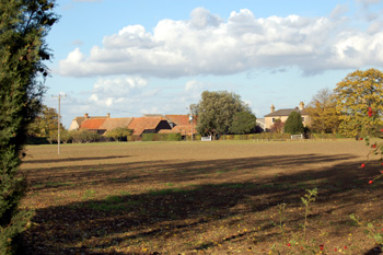 Willowhill Farm October 2009